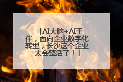 AI大脑+AI手伴，面向企业数字化转型，长沙这个企业太会整活了！