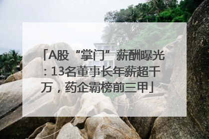 A股“掌门”薪酬曝光：13名董事长年薪超千万，药企霸榜前三甲