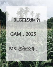 BLG首战越南GAM，2025MSI赛程公布