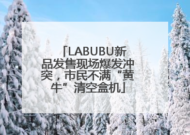 LABUBU新品发售现场爆发冲突，市民不满“黄牛”清空盒机