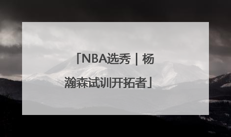 NBA选秀｜杨瀚森试训开拓者