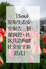 Soul发布生态安全报告：智能风控+社区共治构建社交安全新范式